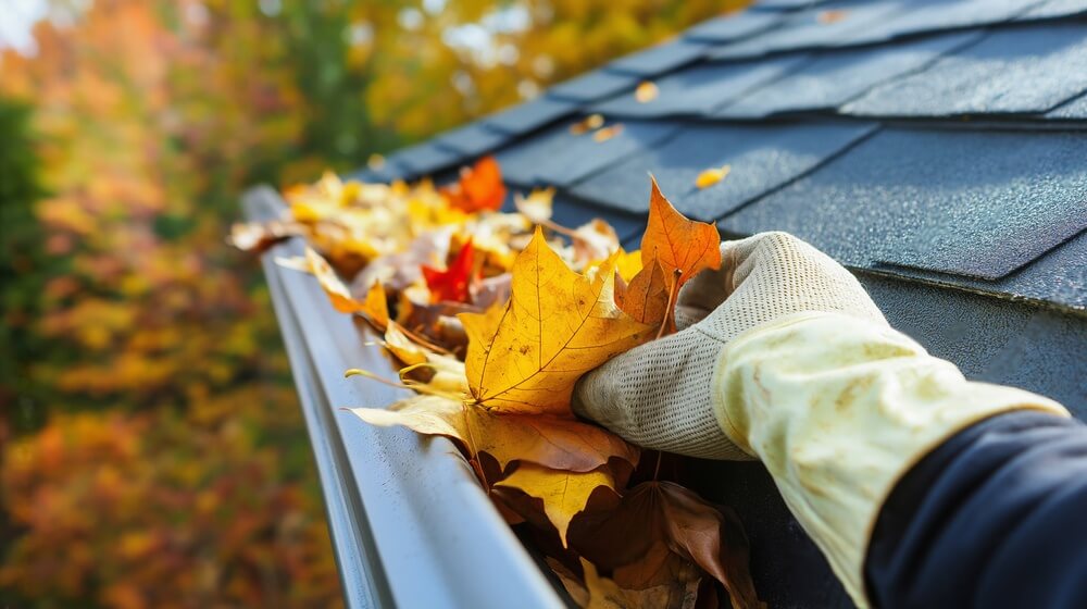 Gutter Cleaning & Repair (3)